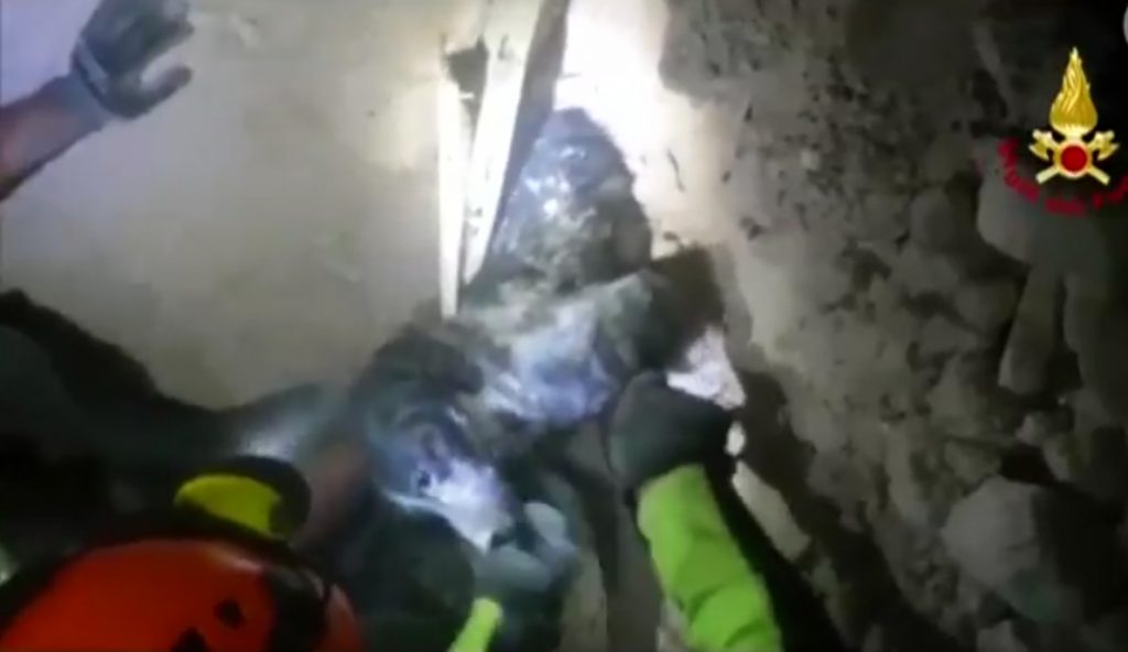 Cachorro é resgatado de escobros de terremoto na Itália