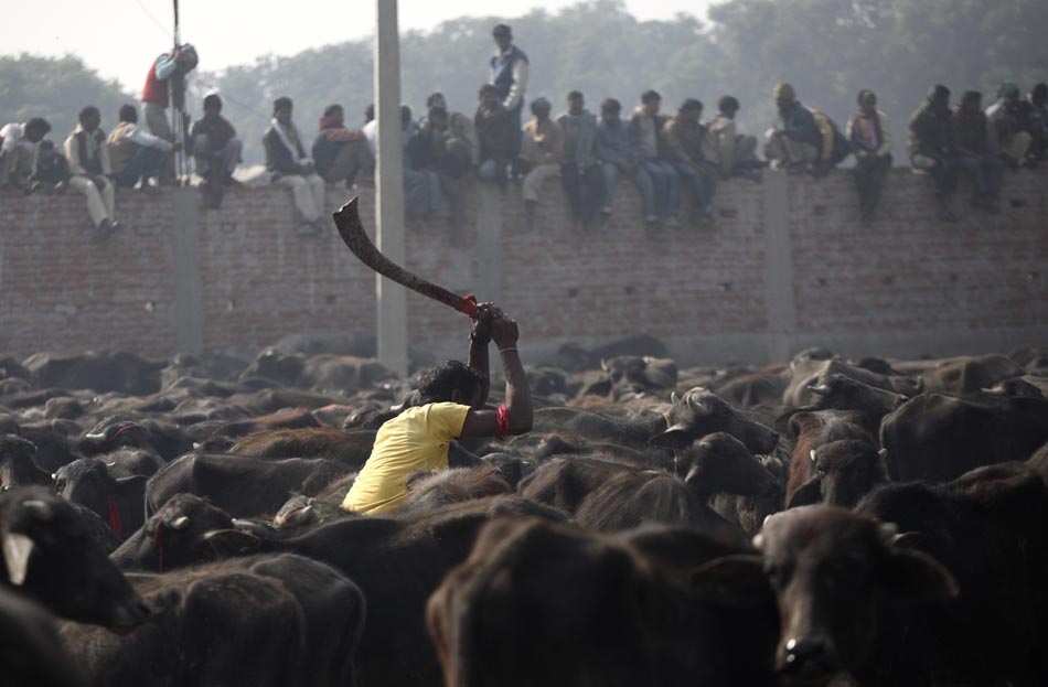 Foto: Shruti Shrestha/Reuters