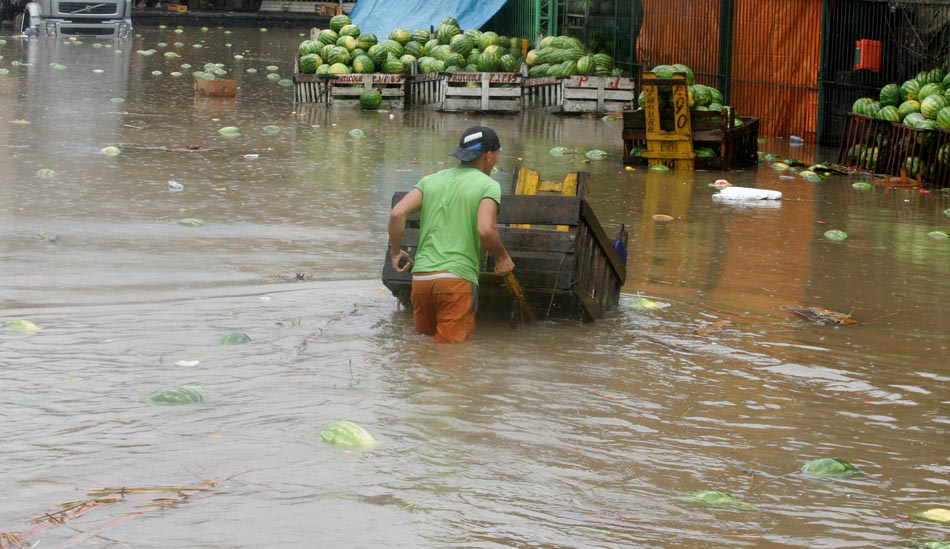 No Ceagesp, um homem continua a trabalhar em meio a chuva. Foto: JOSÉ LUIS DA CONCEIÇÃO/AE