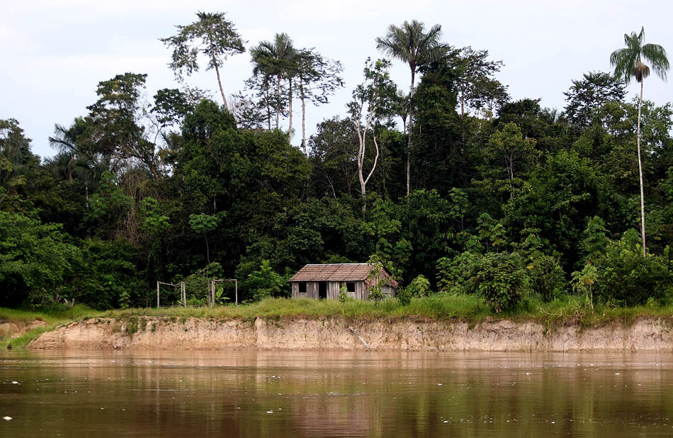 Habitação típica da região, à margem do Rio Jutaí. AM, 09/12/2009. Foto: JF DIORIO/AE