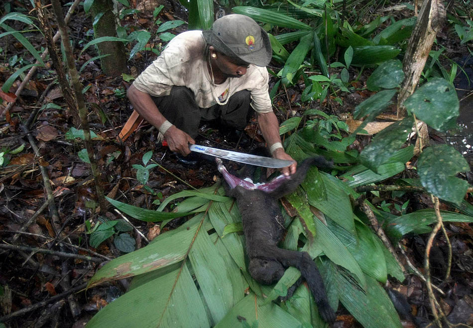 Txami Matis, integrante da expedição, prepara macaco que caçou no Vale do Rio Javari. AM, 15/12/2009. Foto: JF DIORIO/AE 