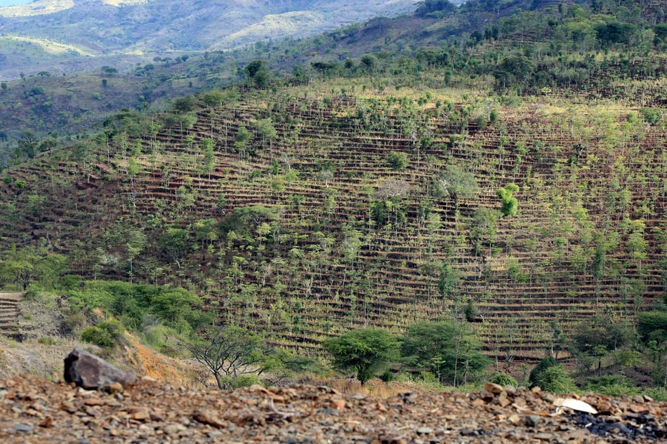 Escarpas são feitas em montanha; técnica agrícola é utilizada há centenas de anos em Konso, no sul da Etiópia. 30.08.2008. Foto: Juca Varella/AE