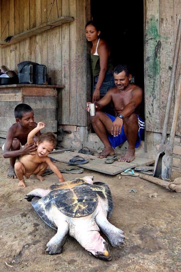Filhos do pescador Raimundo dos Santos Martins e Valdenira Pimentel, brincam ao lado de uma tartaruga, no distrito de Santo Antônio. Vitória de Xingu, PA, 14/04/2010. FOTO: HÉLVIO ROMERO/AE