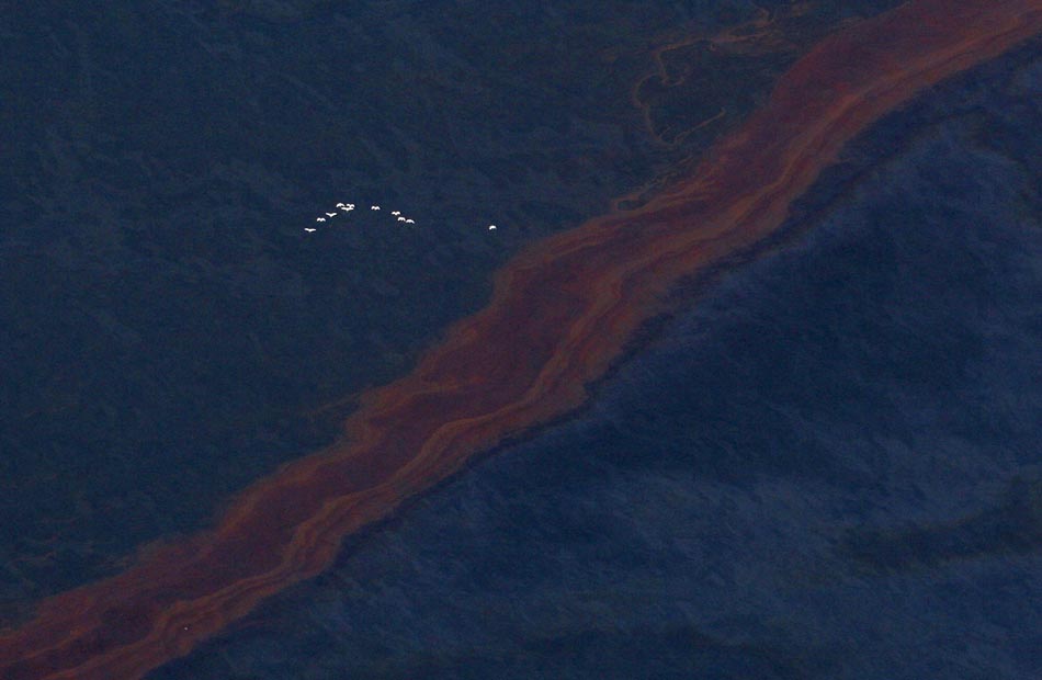 Golfo do México. 28/04/2010. Foto: Sean Gardner/Greenpeace/Reuters
