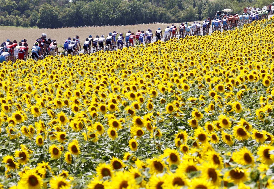 Ciclistas passam por campo de girassóis entre Epernay e Montargis, na França. 08/07/2010. Foto:Francois Lenoir/Reuters