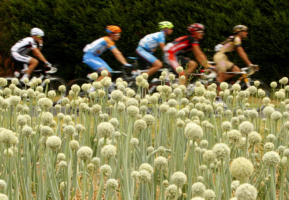 Ciclistas percorrem o 6º trecho do Tour de France. 09/07/2010. Foto:Bogdan Cristel/Reuters