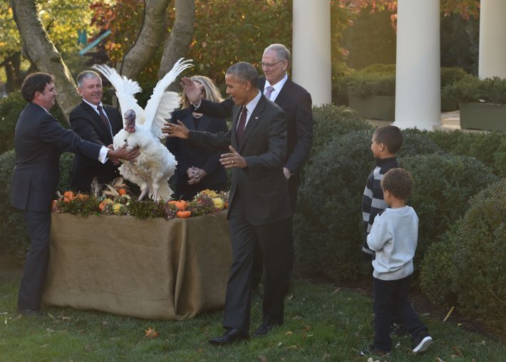 US President Barack Obama stands with his nephews Austin and Aaron Robinson as he pardons the National Thanksgiving Turkey in the Rose Garden of the White House in Washington, DC, on November 23, 2016. The President pardoned Tater and its alternate Tot, both 18-week old, 40-pound turkeys. As part of the naming process, Iowa school children submitted pairs of names for this year?s turkeys. / AFP PHOTO / NICHOLAS KAMM